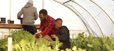 BE THE SEED - McDonald's Video Competition Winner 2016